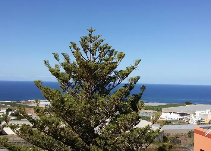 Las Gaviotas * Punta Del Hidalgo
